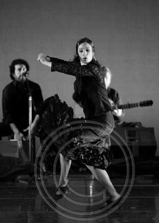 Fanny BW SDI09 52.JPG